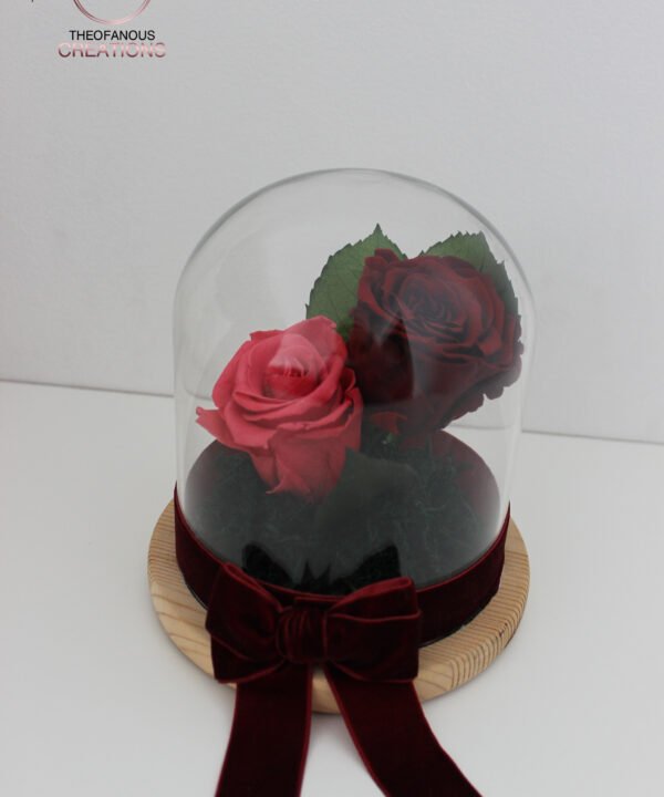 Θόλος με 2 Forever Rose