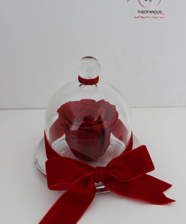 Κρυστάλλινος θόλος με Forever Rose - RED