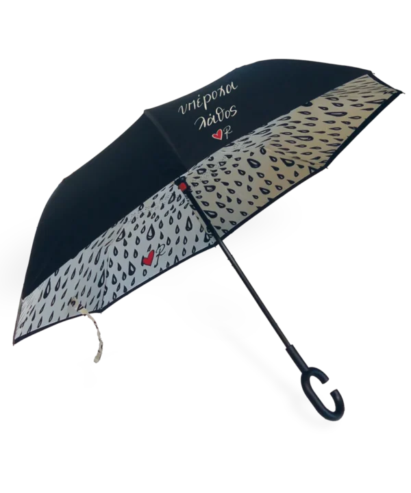 Ομπρέλα Βροχής / Υπέροχα Λάθος