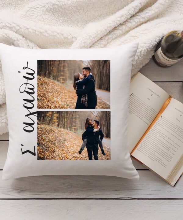 Μαξιλάρι Βελούδινο